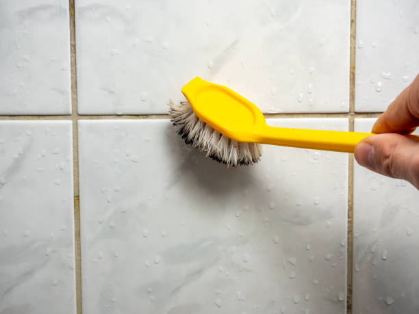 Best Same-Day Mold Removal  in Columbus, NM